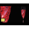 Archeo Venice Design 102.00 Wall Sconces