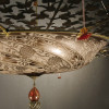 Archeo Venice Design 301.DB Suspension Lights