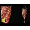 Archeo Venice Design 403.00 Table lamps