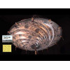 Archeo Venice Design 303.00 Suspension Lights