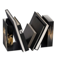 Dark Igor Book End