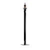 Black Lacquered Wood Coat Stand