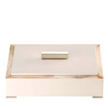 Ivory Storage Box