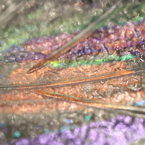 Plume 40" Oblong Pendant