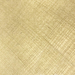 Brushed Gold Leaf 