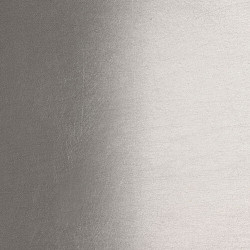 Soft Ombre Silver Leaf 