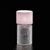 Zoe 8171 LG LED Table Lamps