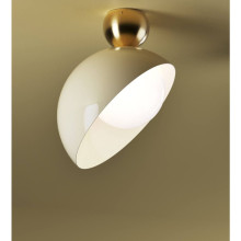 Aurora 796 PLG 796 PL Semi-Flush Mounts