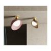 Aurora 796 PLG 796 PL Semi-Flush Mounts