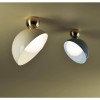 Aurora 796 PLG 796 PL Semi-Flush Mounts
