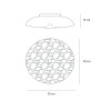 Crater 212 PL LED Wall Ceiling Lights