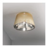 Leo 7030 F Semi-Flush Mounts