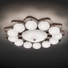 Teo 2392 95 LED Ceiling Lights