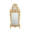 Intrigue Mirror