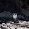 Basalte Vase  10847200