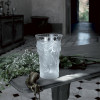 Fantasia vase  1262600