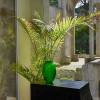 Plumes vase  10758500
