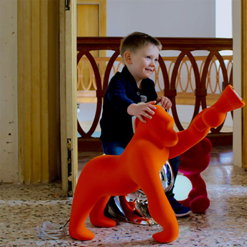 Cong XS including a table lamp Gorilla