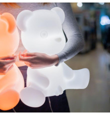 Teddy boy battery table lamp LED color change