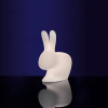 Rabbit LED decorative lamp with colored light