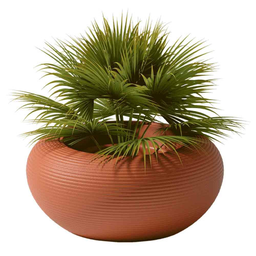 Nami Planter