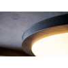 Robers Outdoor Ceiling Lights DE2683