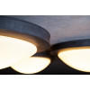 Robers Outdoor Ceiling Lights DE2683