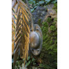 Robers Wall Lamp WL3764
