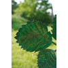 Robers Outdoor Flowerlamp Erdbeere AL6893
