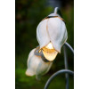 Robers Outdoor Flowerlamp AL6572