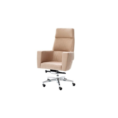 Carey Office chair