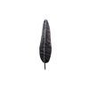Samsara Wall Sconce