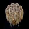 Protea Chandelier Ceiling Mounted 1000