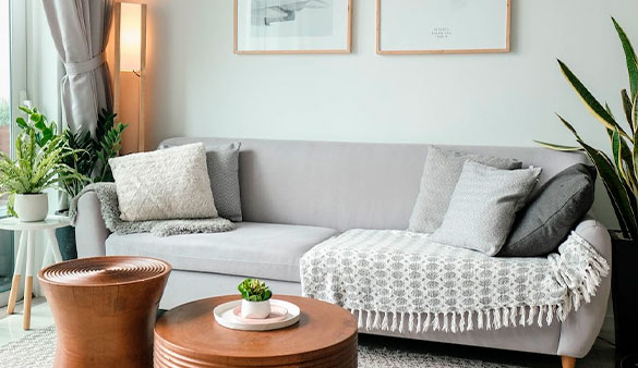 Luxury furniture image 2